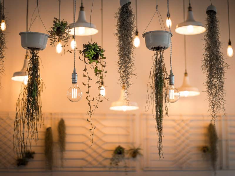 focos led vintage